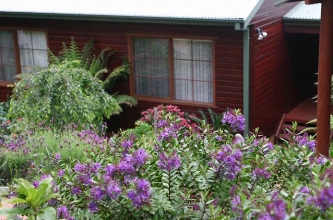 Bluebell Cottage Leura Exterior photo